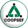 Logo COOPSEF ( imagem presente na página mentoria, página é capacitar profissionais da educação e gestores de instituições de ensino na eficaz captação e retenção de alunos,página MBA Avançado Coordenação Educacional e Inovação Pedagógica , Cursos)